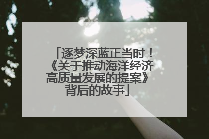 逐梦深蓝正当时！《关于推动海洋经济高质量发展的提案》背后的故事