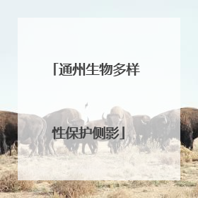 通州生物多样性保护侧影