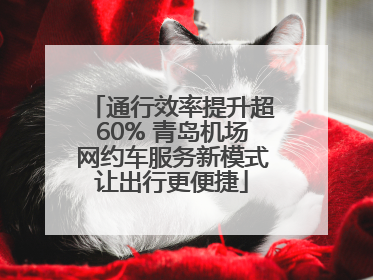 通行效率提升超60% 青岛机场网约车服务新模式让出行更便捷