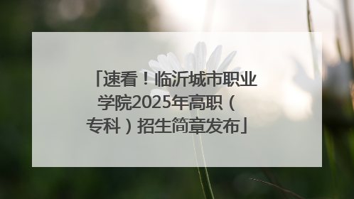 速看！临沂城市职业学院2025年高职（专科）招生简章发布