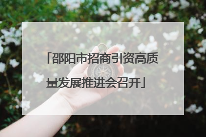 邵阳市招商引资高质量发展推进会召开