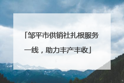 邹平市供销社扎根服务一线，助力丰产丰收