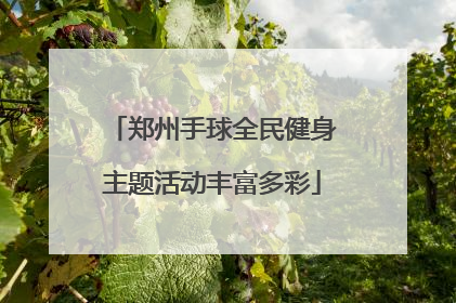 郑州手球全民健身主题活动丰富多彩