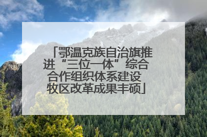 鄂温克族自治旗推进“三位一体”综合合作组织体系建设 牧区改革成果丰硕