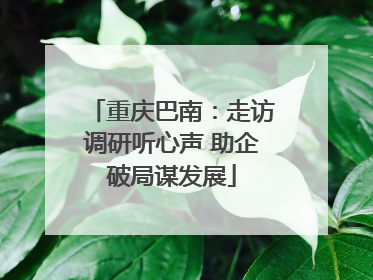 重庆巴南：走访调研听心声 助企破局谋发展