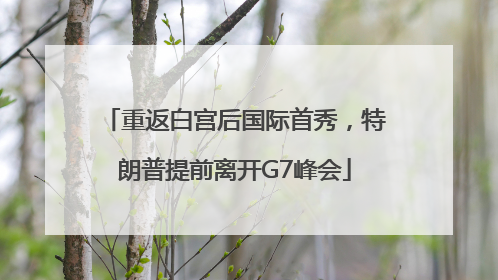 重返白宫后国际首秀，特朗普提前离开G7峰会