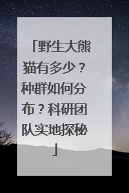 野生大熊猫有多少？种群如何分布？科研团队实地探秘