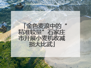 金色麦浪中的“精准较量”石家庄市开展小麦机收减损大比武
