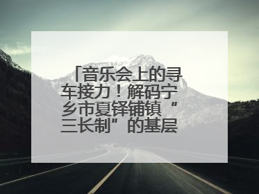 音乐会上的寻车接力！解码宁乡市夏铎铺镇“三长制”的基层治理新实践