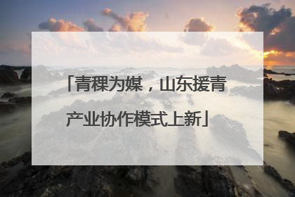 青稞为媒，山东援青产业协作模式上新