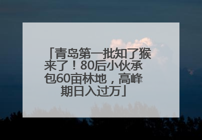 青岛第一批知了猴来了！80后小伙承包60亩林地，高峰期日入过万