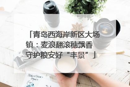 青岛西海岸新区大场镇：麦浪翻滚穗飘香 守护粮安好“丰景”