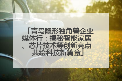 青岛隐形独角兽企业媒体行：揭秘智能家居、芯片技术等创新亮点 共绘科技新篇章