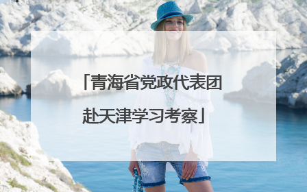 青海省党政代表团赴天津学习考察