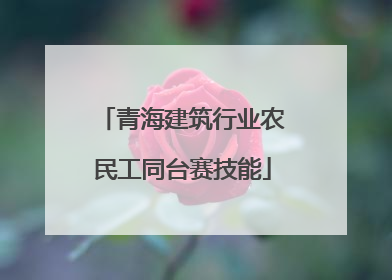青海建筑行业农民工同台赛技能