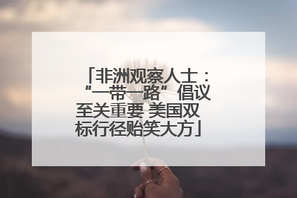 非洲观察人士：“一带一路”倡议至关重要 美国双标行径贻笑大方
