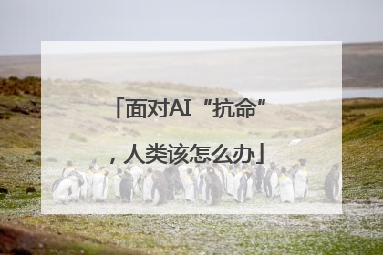 面对AI“抗命”，人类该怎么办
