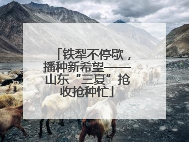 铁犁不停歇，播种新希望——山东“三夏”抢收抢种忙