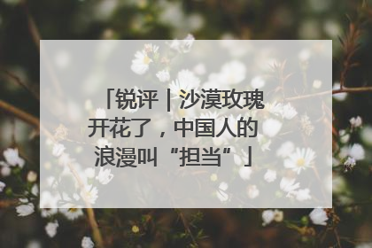 锐评｜沙漠玫瑰开花了，中国人的浪漫叫“担当”