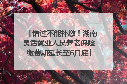错过不能补缴！湖南灵活就业人员养老保险缴费期延长至6月底