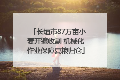 长垣市87万亩小麦开镰收割 机械化作业保障夏粮归仓
