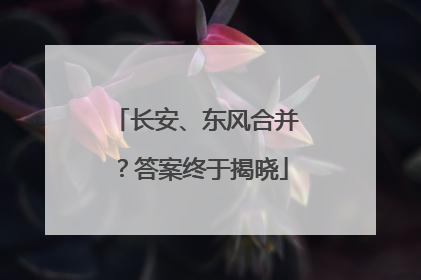 长安、东风合并？答案终于揭晓