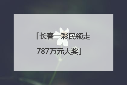 长春一彩民领走787万元大奖