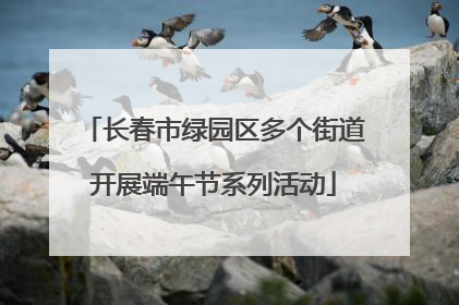 长春市绿园区多个街道开展端午节系列活动