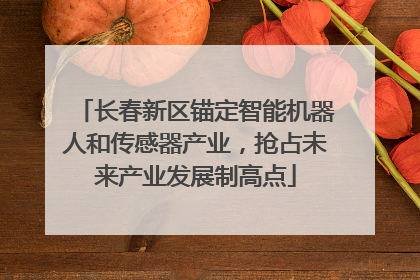 长春新区锚定智能机器人和传感器产业，抢占未来产业发展制高点