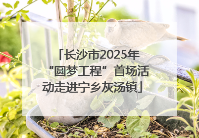 长沙市2025年“圆梦工程”首场活动走进宁乡灰汤镇