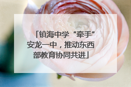 镇海中学“牵手”安龙一中，推动东西部教育协同共进