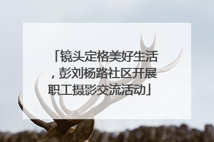 镜头定格美好生活，彭刘杨路社区开展职工摄影交流活动