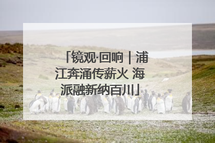 镜观·回响｜浦江奔涌传薪火 海派融新纳百川