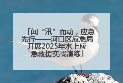 闻“汛”而动，应急先行——河口区应急局开展2025年水上应急救援实战演练