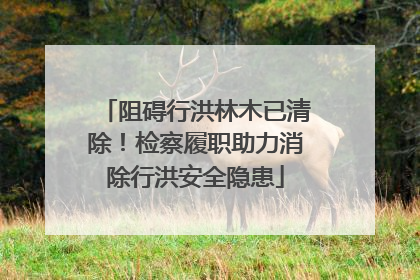 阻碍行洪林木已清除！检察履职助力消除行洪安全隐患