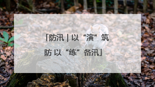 防汛｜以“演”筑防 以“练”备汛