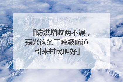 防洪增收两不误，嘉兴这条千吨级航道引来村民叫好