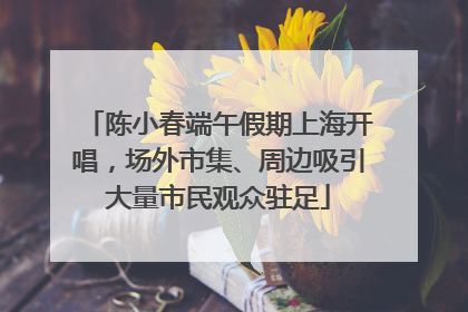 陈小春端午假期上海开唱，场外市集、周边吸引大量市民观众驻足