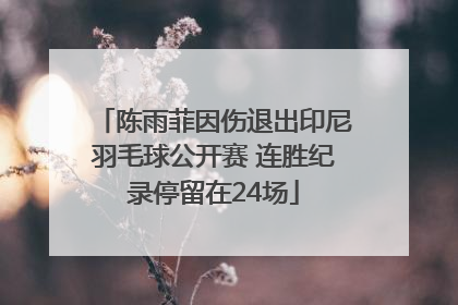 陈雨菲因伤退出印尼羽毛球公开赛 连胜纪录停留在24场