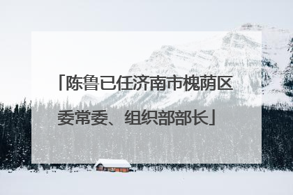 陈鲁已任济南市槐荫区委常委、组织部部长