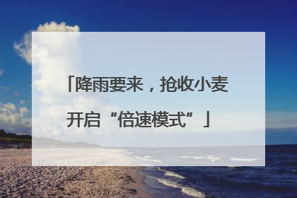 降雨要来，抢收小麦开启“倍速模式”