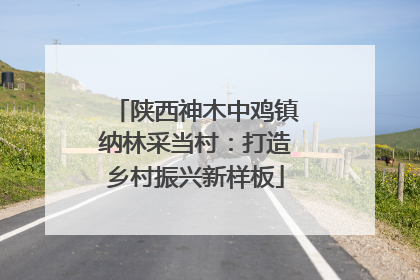 陕西神木中鸡镇纳林采当村：打造乡村振兴新样板