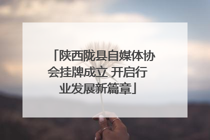 陕西陇县自媒体协会挂牌成立 开启行业发展新篇章