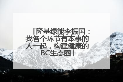 隆基绿能李振国：找各个环节有本事的人一起，构建健康的BC生态圈