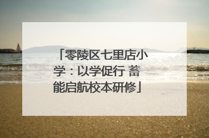 零陵区七里店小学：以学促行 蓄能启航校本研修