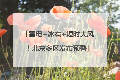 雷电+冰雹+短时大风！北京多区发布预警