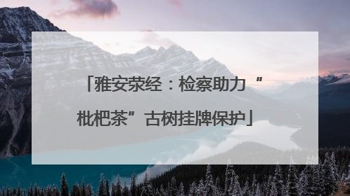 雅安荥经：检察助力“枇杷茶”古树挂牌保护