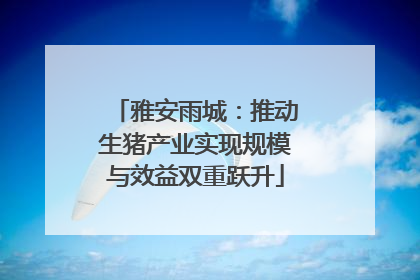 雅安雨城：推动生猪产业实现规模与效益双重跃升