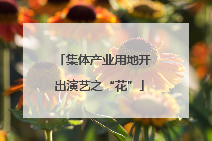 集体产业用地开出演艺之“花”