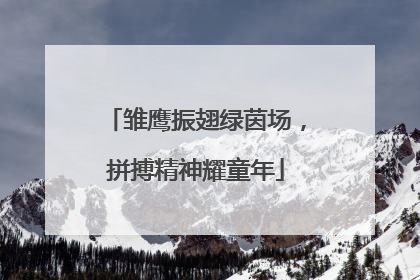 雏鹰振翅绿茵场，拼搏精神耀童年